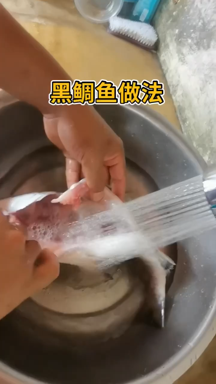 黑鲷鱼做法。  