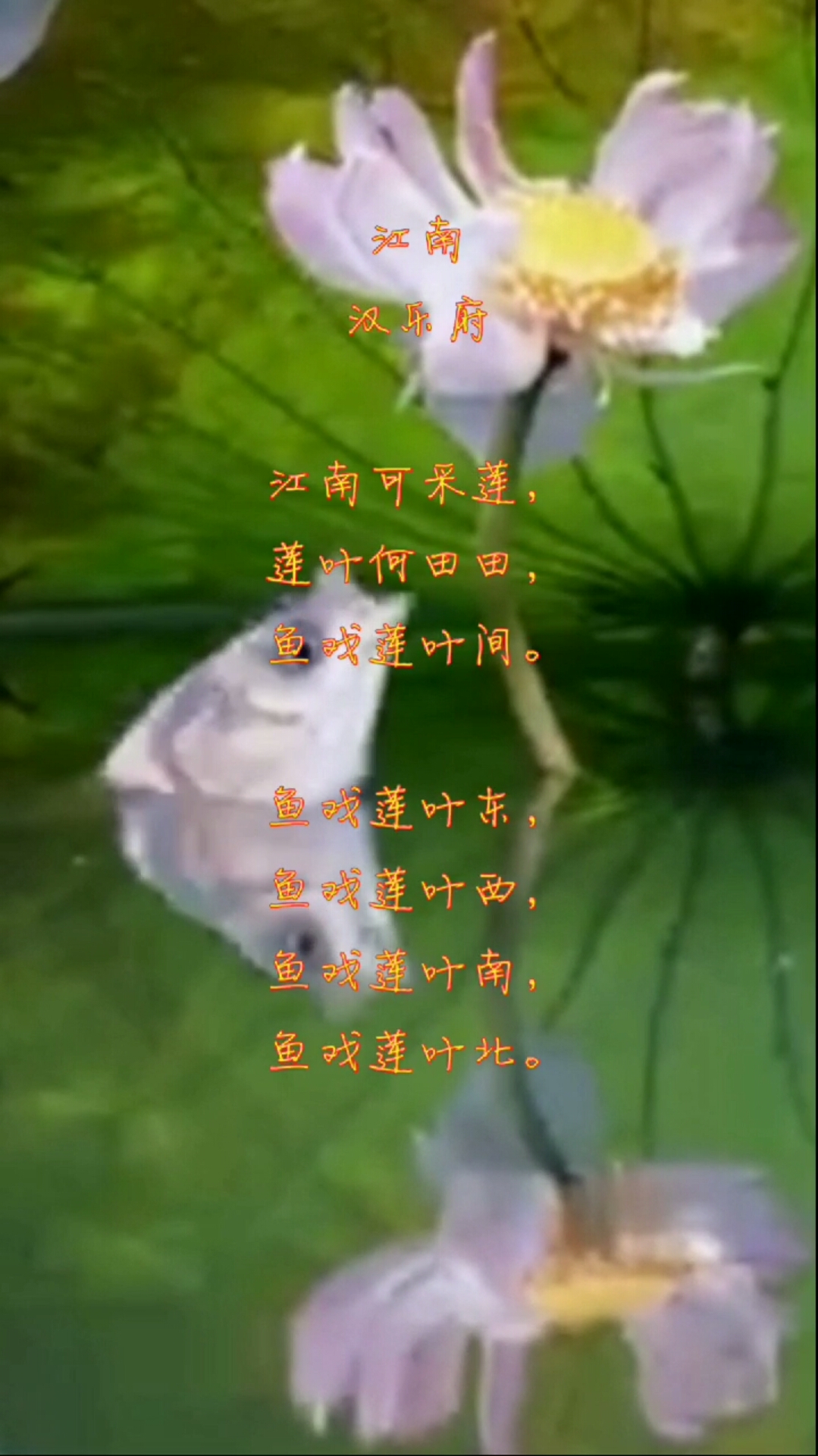 #诗词#《江南》:仿佛看到了无数鱼儿在莲叶间嬉戏