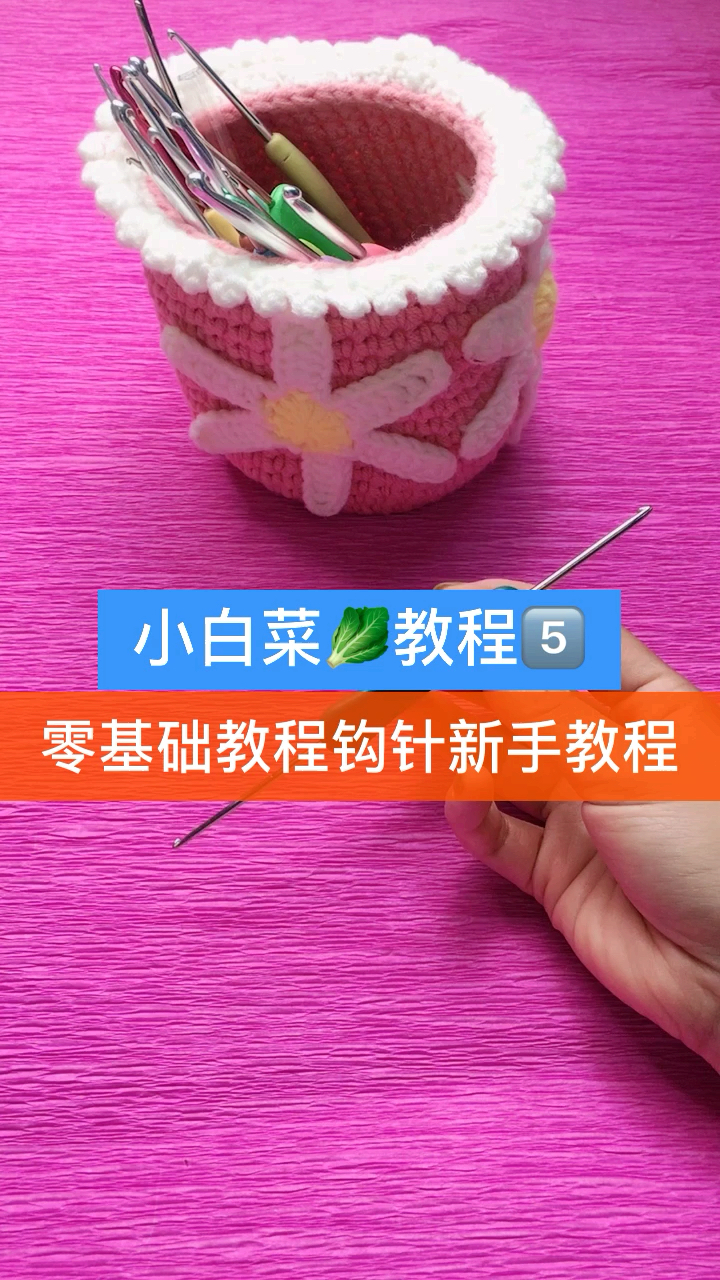 #好样青年#小白菜教程4