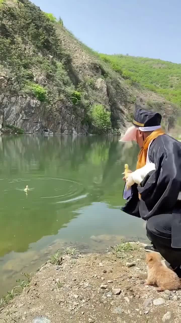 八戒给小鸭洗澡