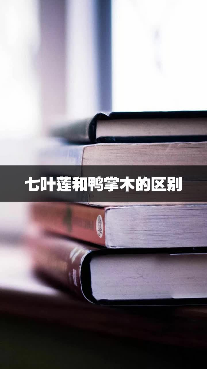 七叶莲和鸭掌木的区别