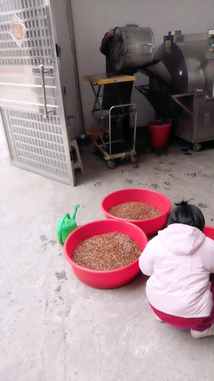 家乡专业现炒红瓜子