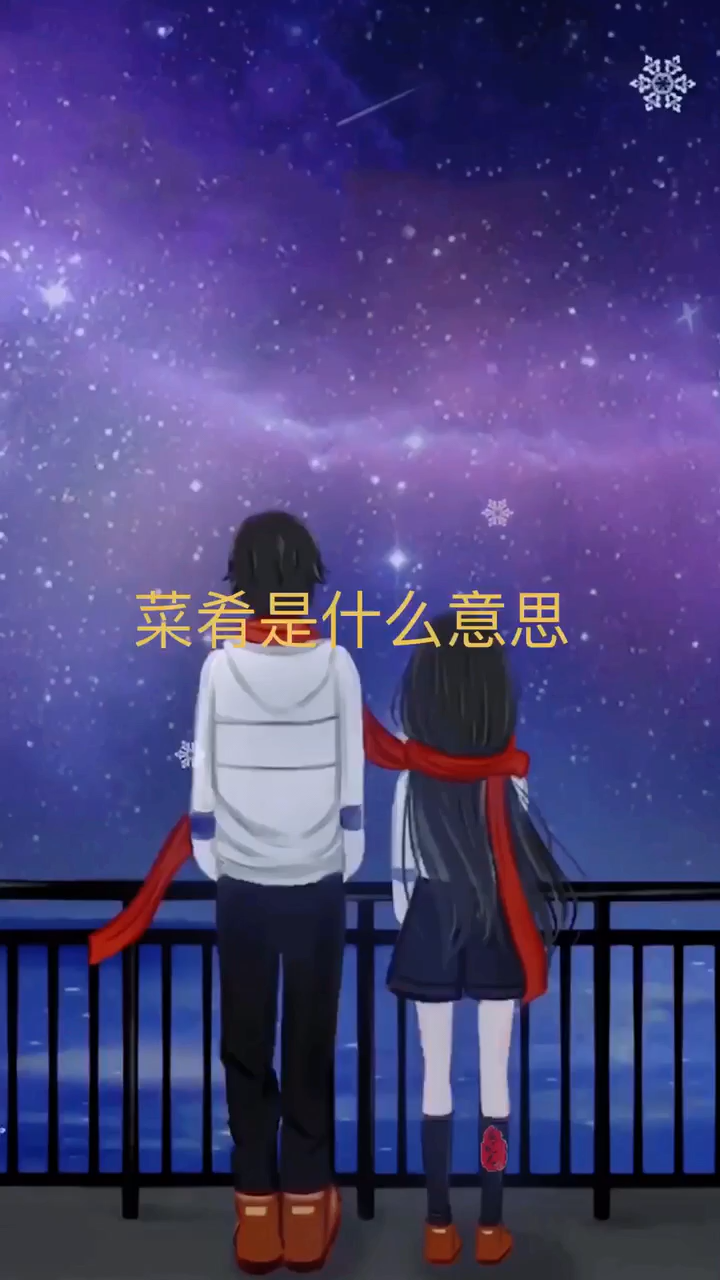 我来告诉你菜肴是什么意思