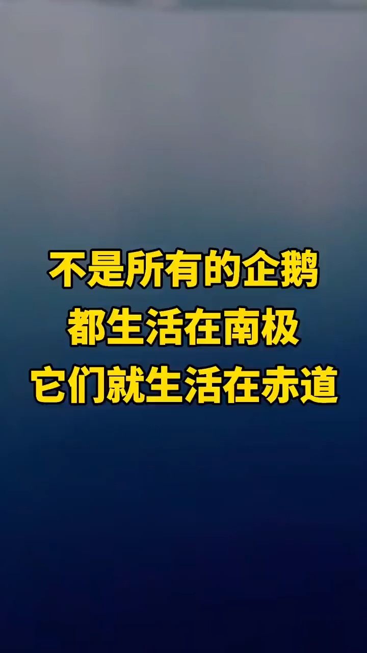 不是所有的企鹅都生活在南极