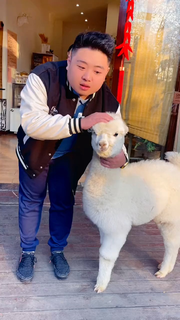 #我的探店日记#斥巨资19,9吃熔岩蛋糕你们觉得值不值