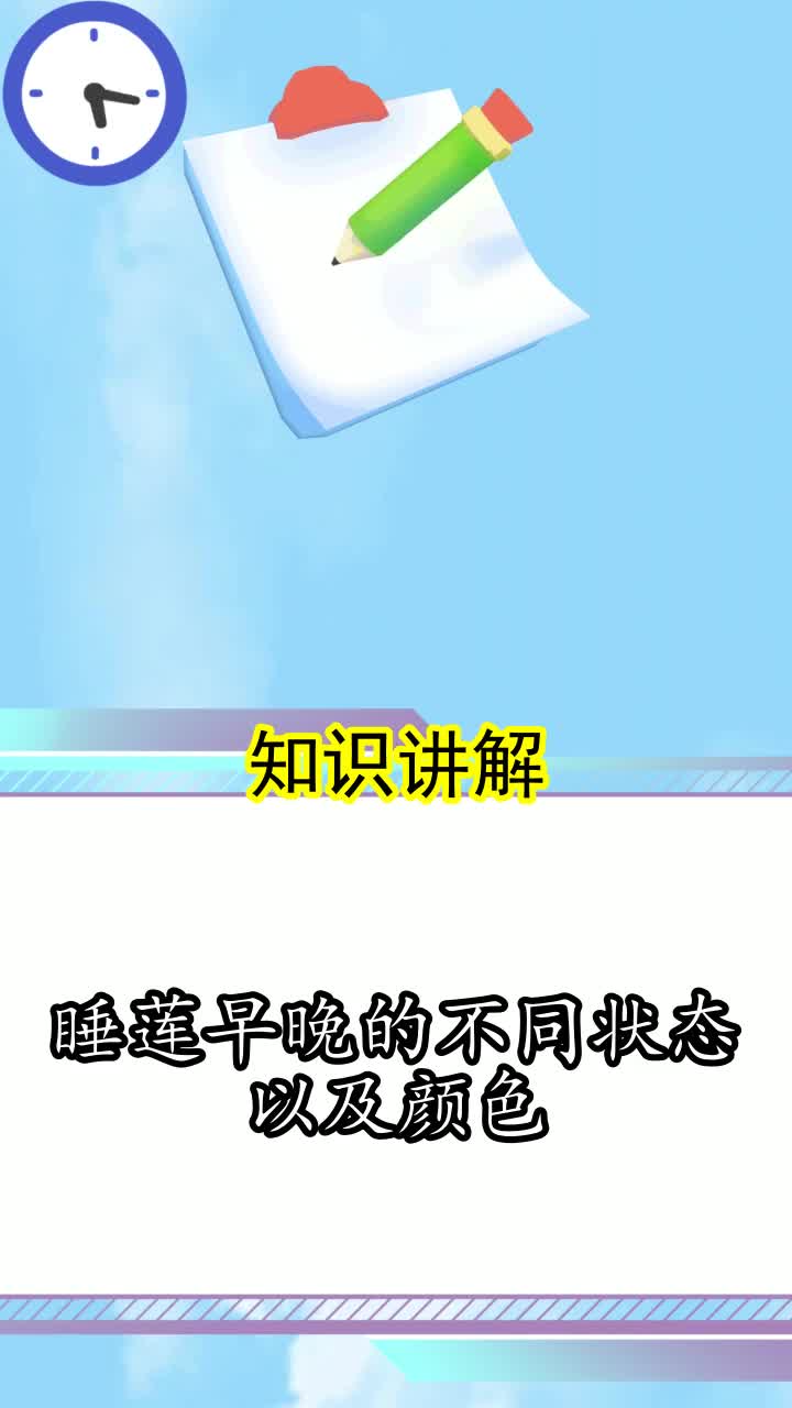 睡莲早晚的不同状态以及颜色,你看懂了吗