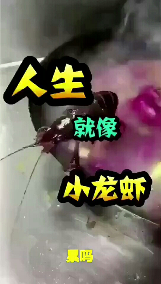 谁跟我说的放手,有本事你放一个试试