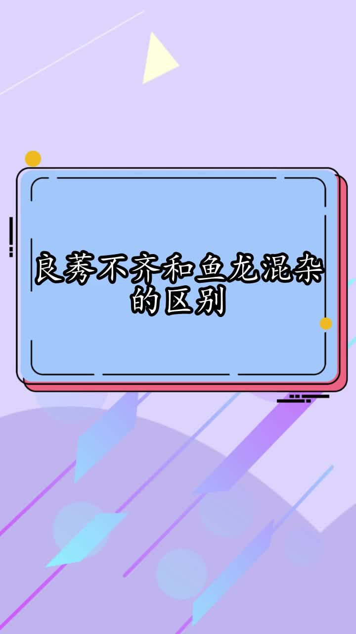 良莠不齐和鱼龙混杂的区别,你明白了吗
