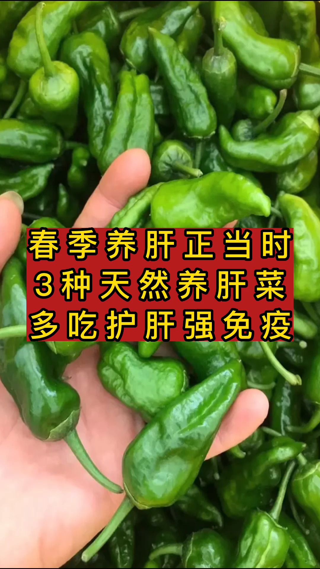 春季养肝正当时,3种天然养肝菜,多吃护肝强免疫