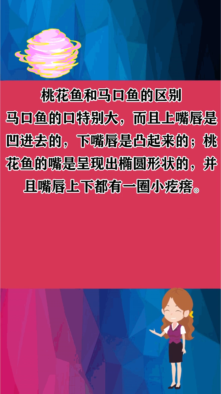 桃花鱼和马口鱼的区别