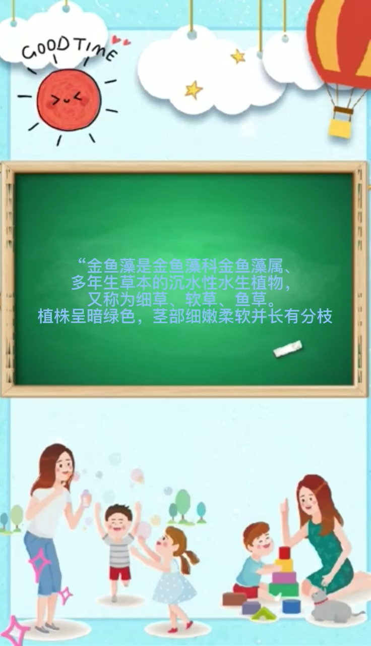 金鱼藻是什么植物
