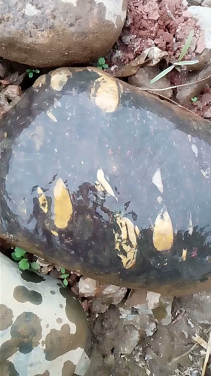 梅花玉石