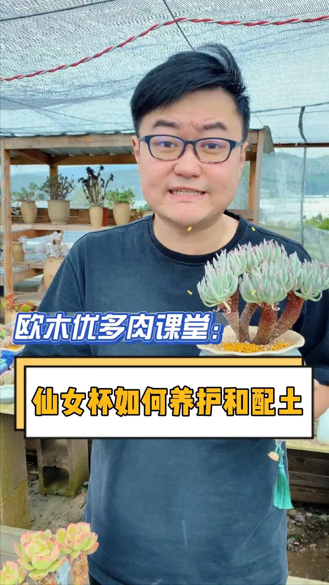 仙女杯品种的多肉要如何养护和配土呢?这个视频告诉你#多肉#多肉植物#