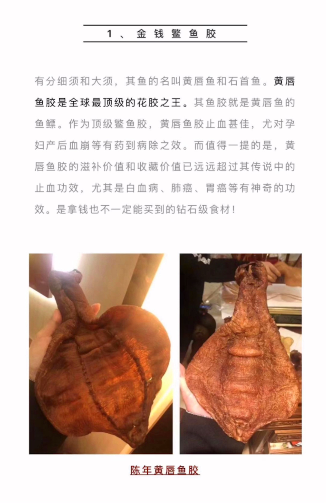 鱼胶宝典!不想被骗,保存起来简单方便#鱼胶#美食