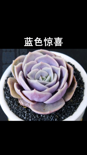 #带上全民去旅行#