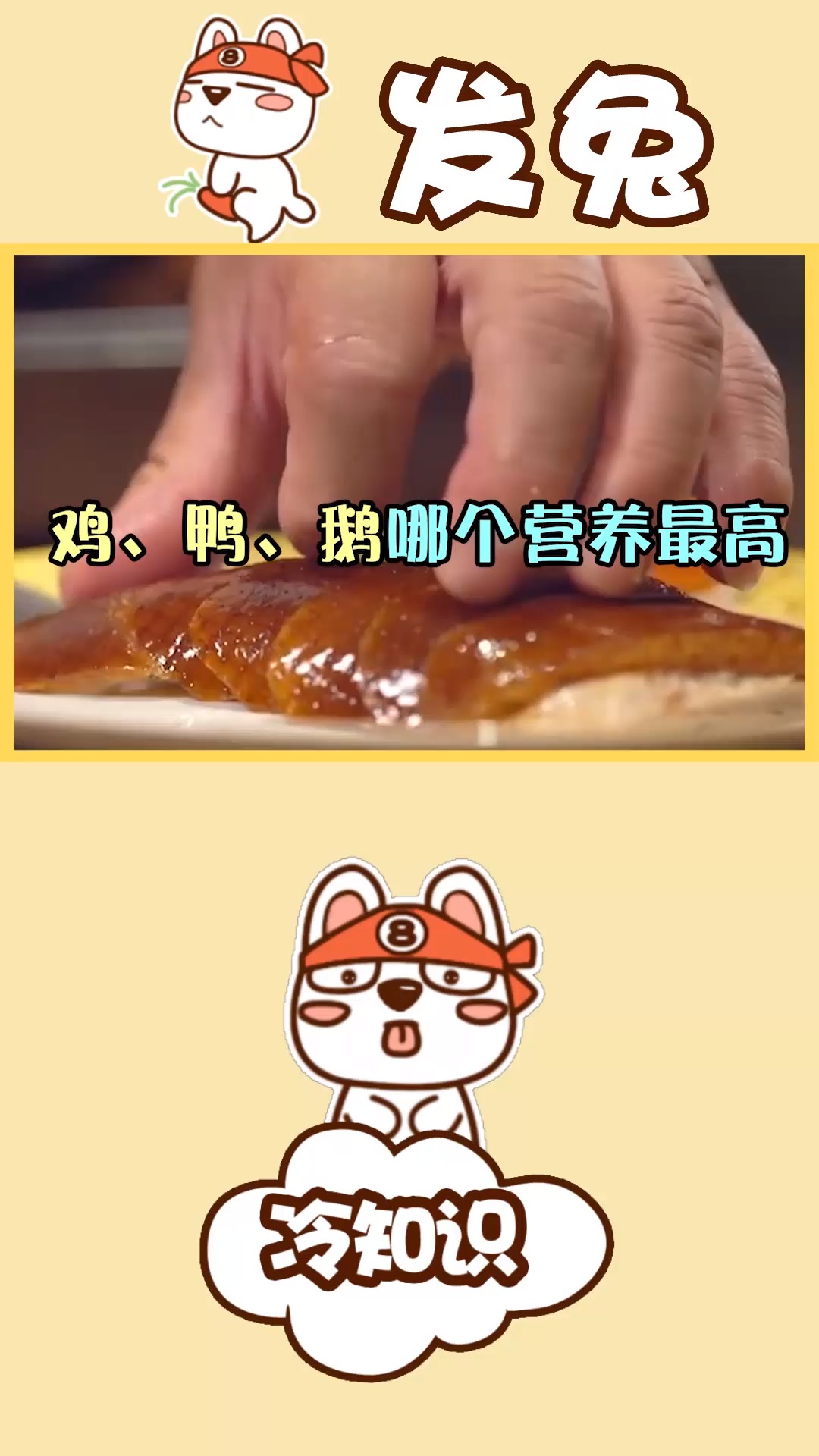 鸡、鸭、鹅哪个营养最高
