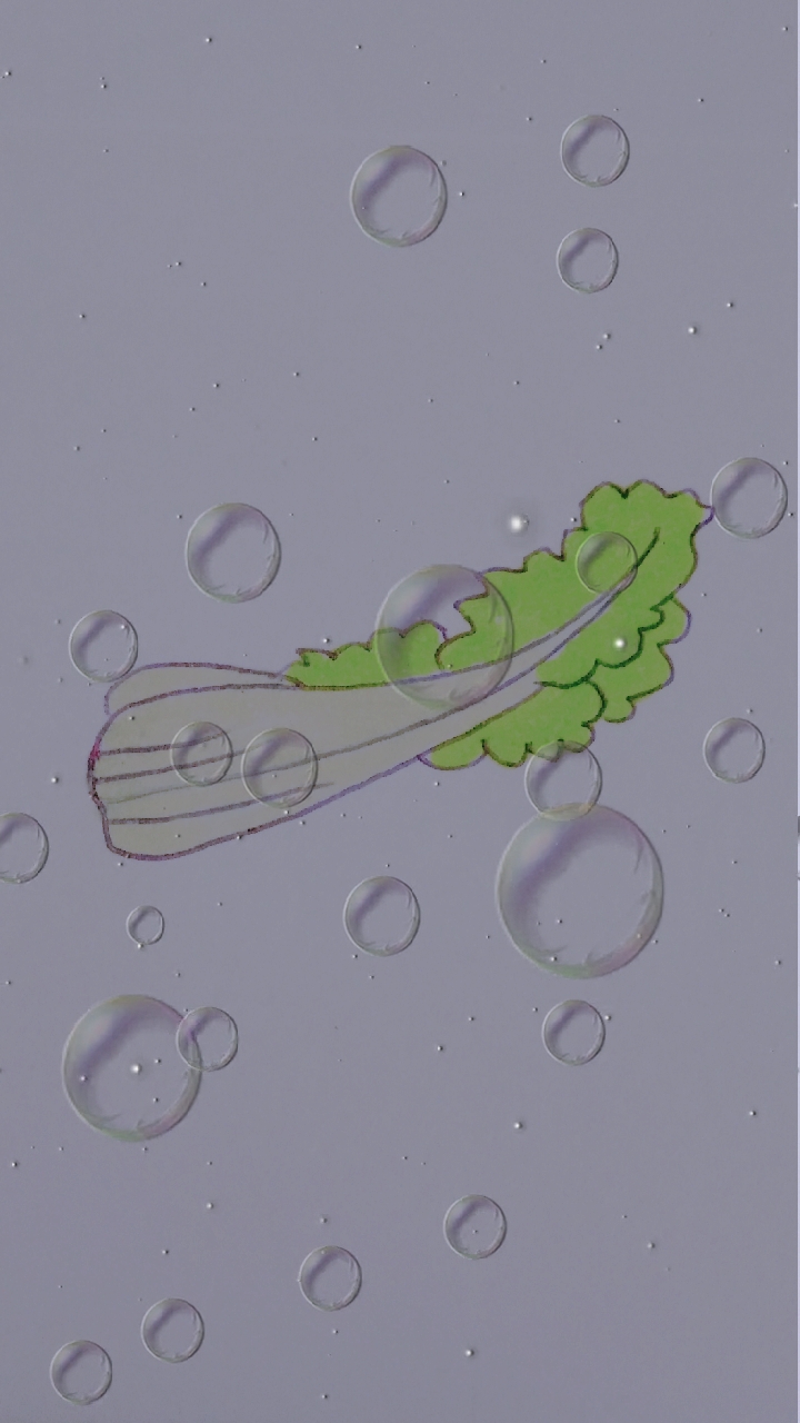 #快要憋疯的你#简笔画·蔬菜·蘑菇·玉米·西芹·豌豆·白菜·藕·柿子·油椒·西蓝花·笋