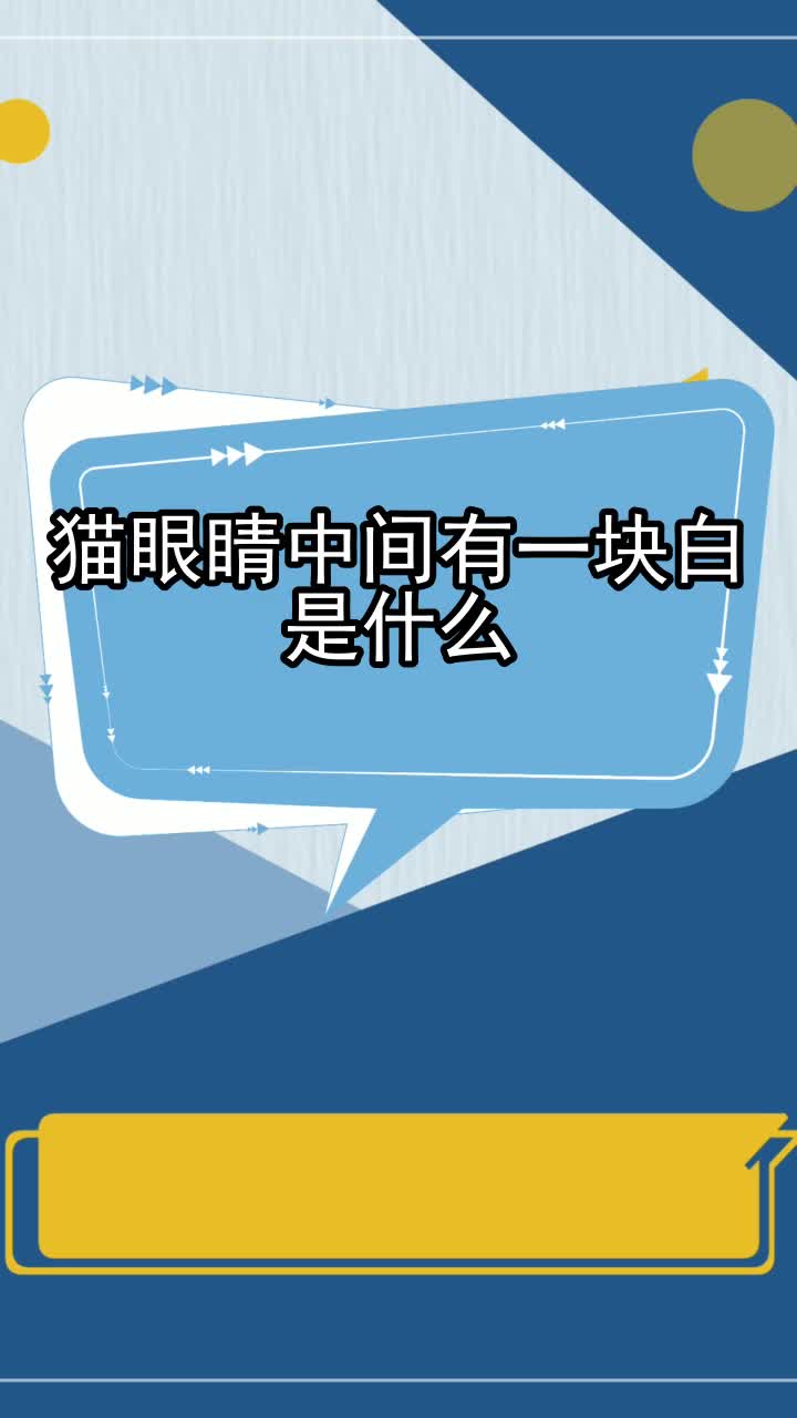 猫眼睛中间有一块白是什么,你清楚了吗