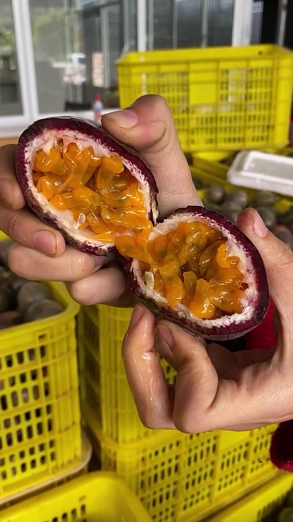 告诉你们,别吃百香果,真的会上瘾,吃了之后你会非常讨厌那些珍珠奶茶和烤奶的