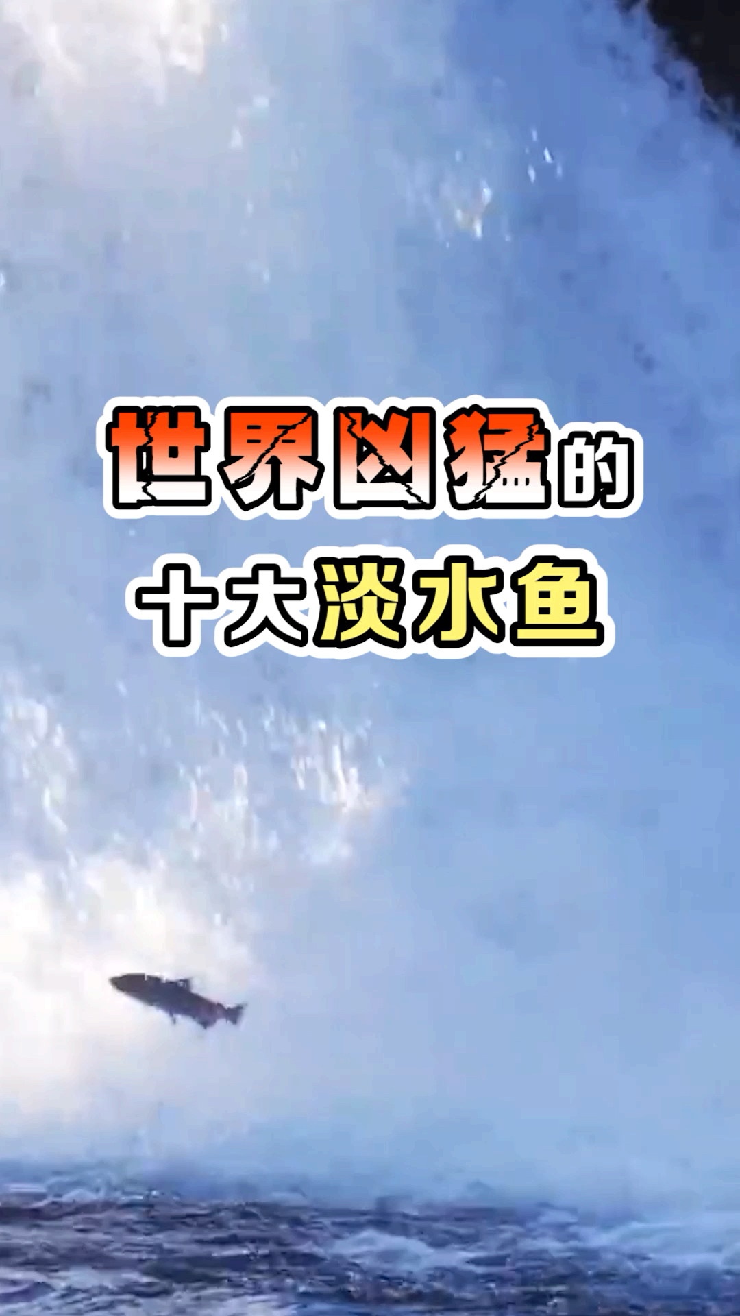 当这些凶猛的动物传入我国之后,它们的命运…………