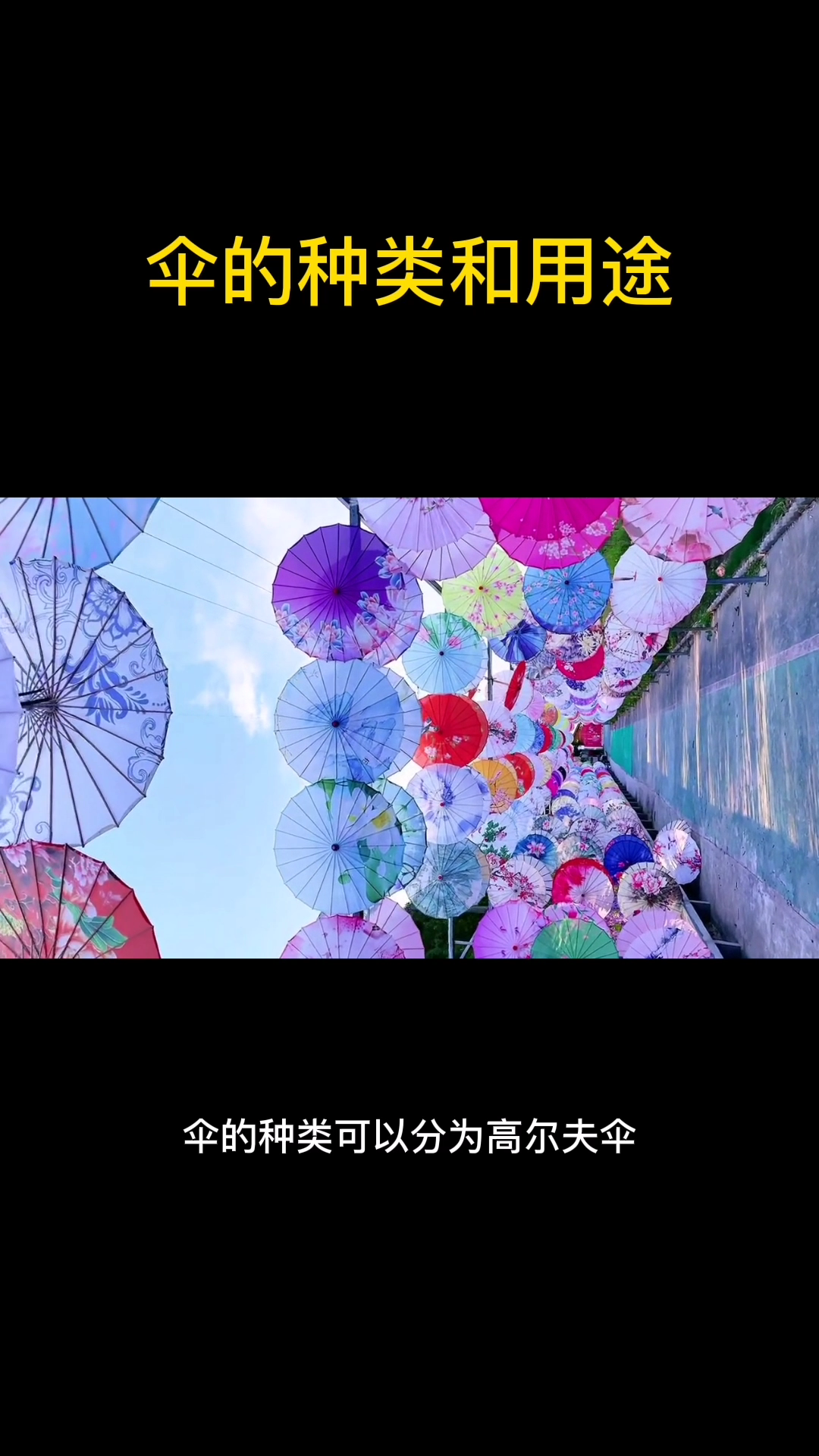 伞的种类和用途 