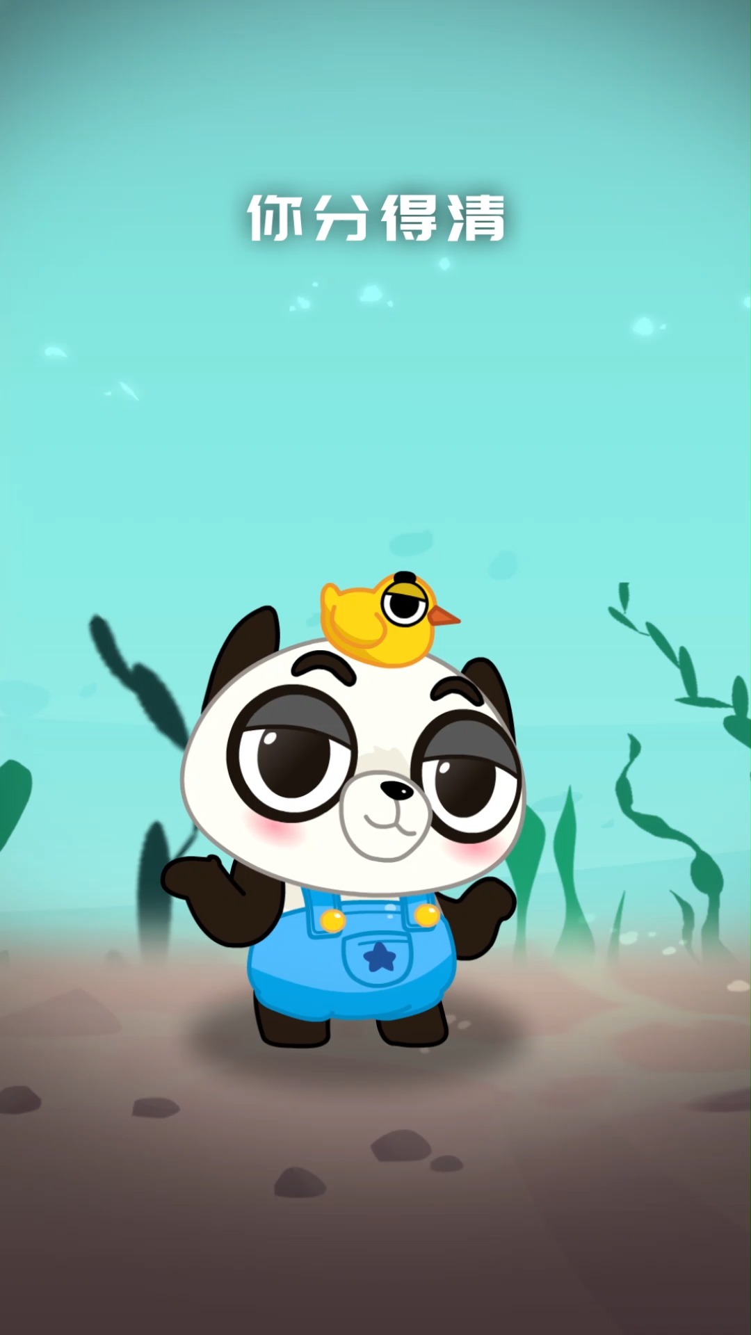 #动物世界#不端上餐桌，你还分得清章鱼墨鱼鱿鱼吗？