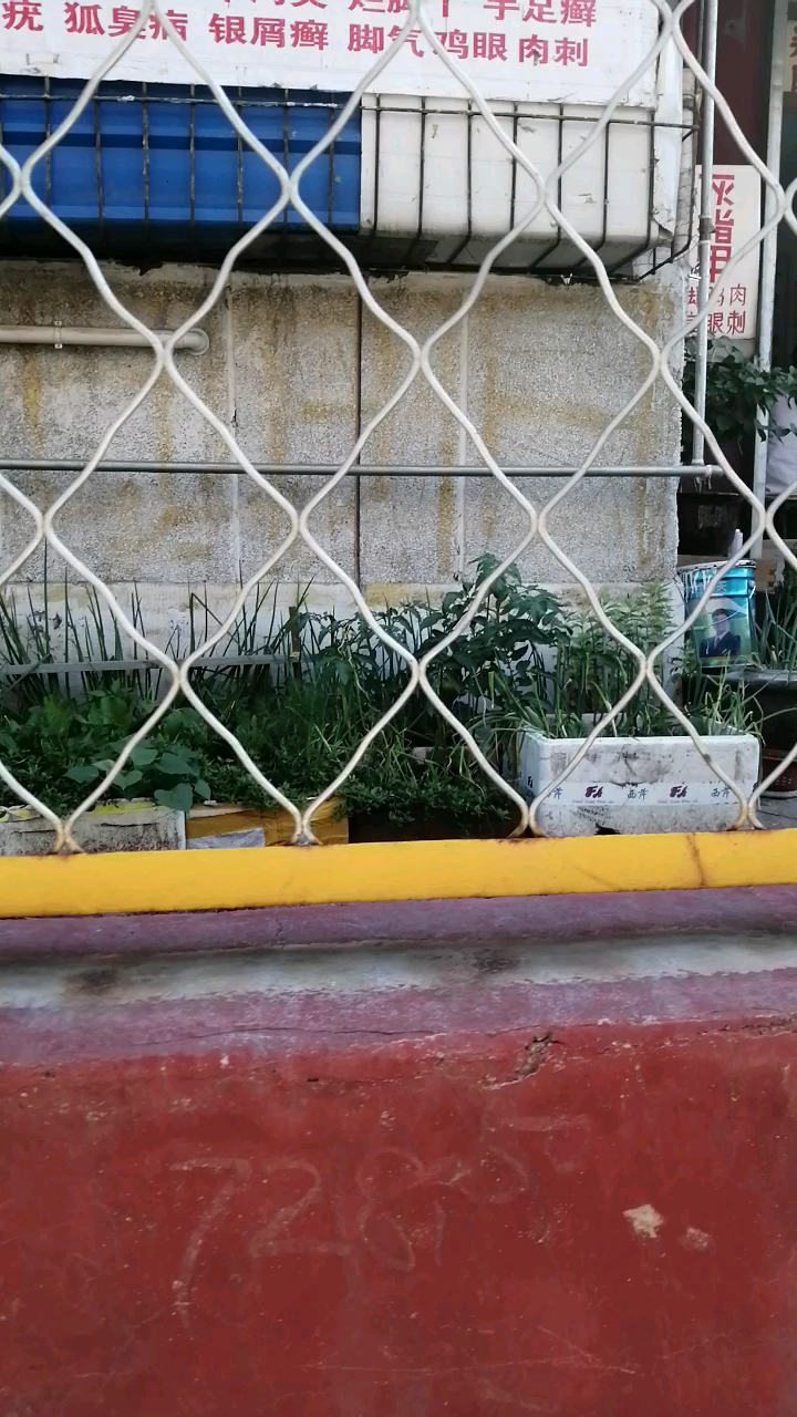 大好风光,岁月静好