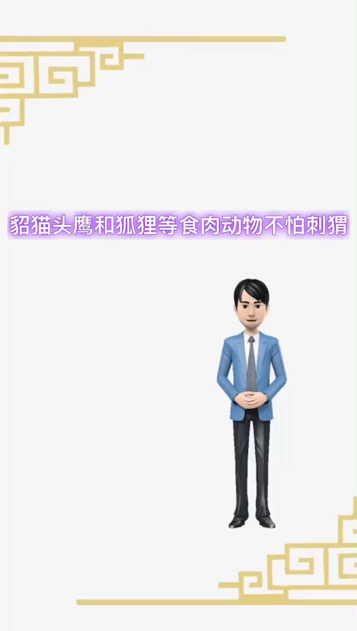我来告诉你不怕刺猬的动物有哪些