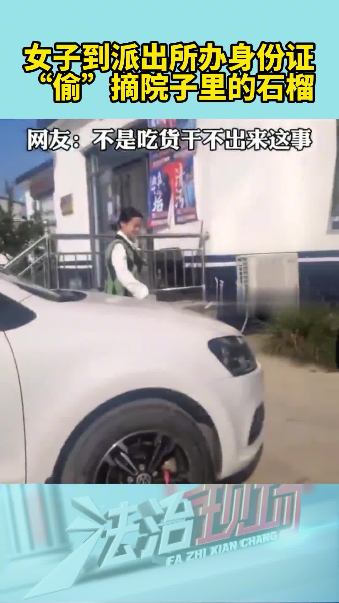 女子到派出所办身份证,“偷”摘院子里的石榴