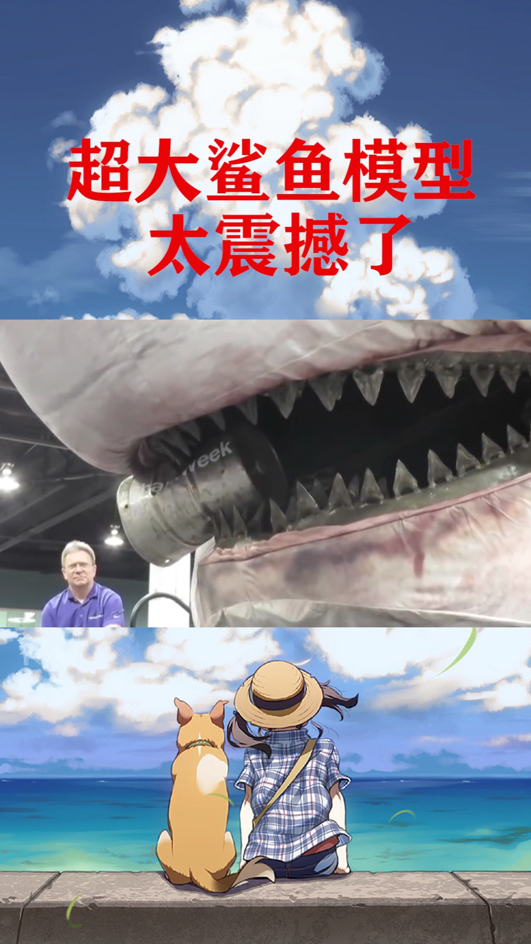 鲨鱼的咬合力怎么样?老外用模型测试,效果太震撼了