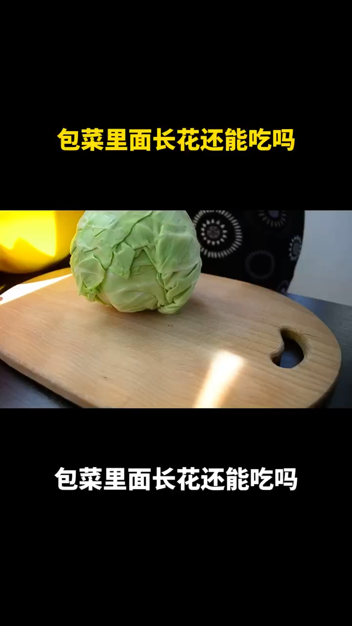 包菜里面长花还能吃吗
