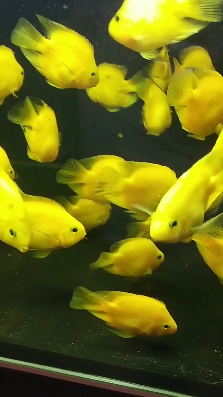 分享视频