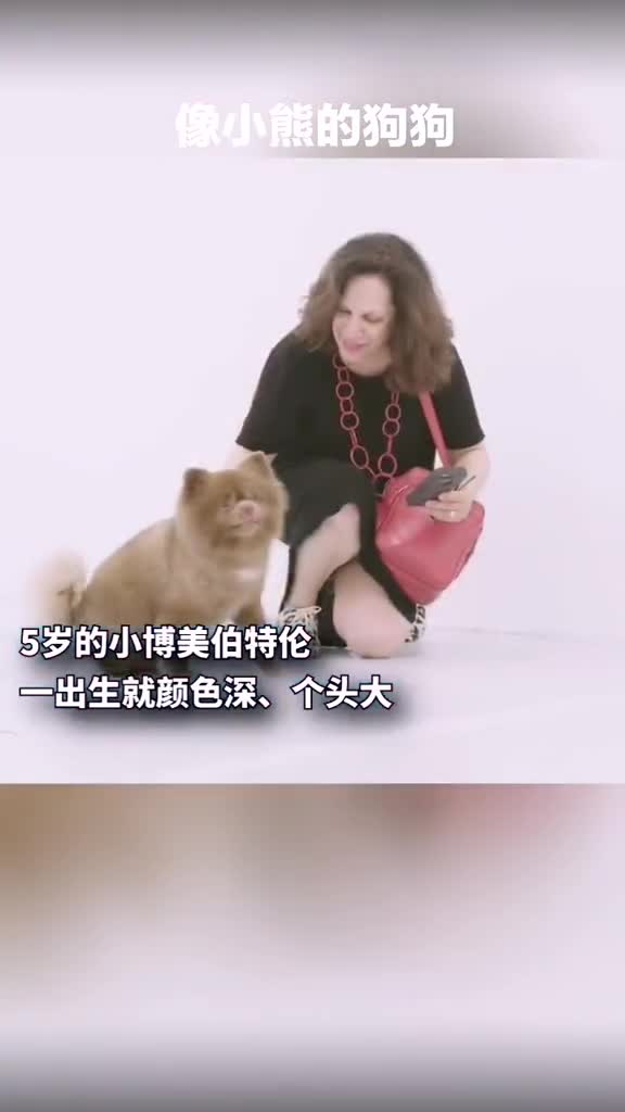 因长相被遗弃的狗狗,遇到了世界上最好的主人狗狗故事铲屎官和他的主人
