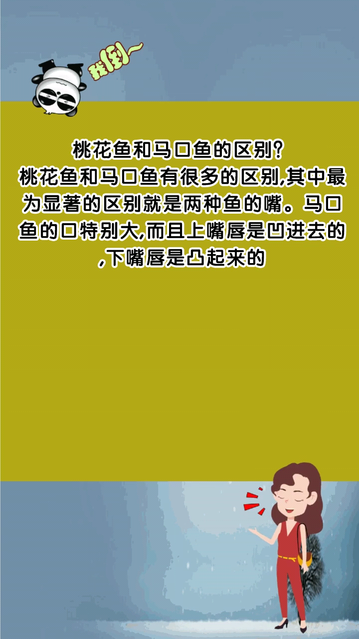 桃花鱼和马口鱼的区别?