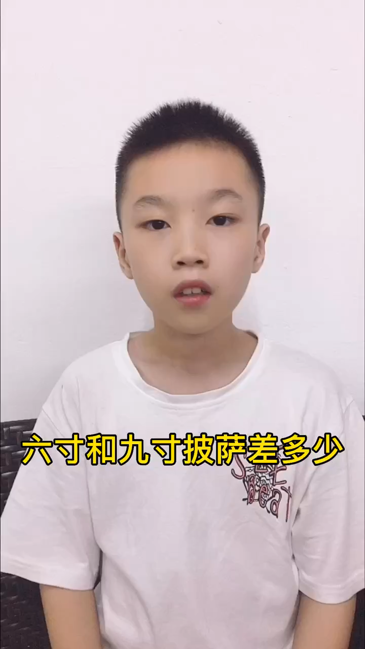六寸和九寸披萨差多少