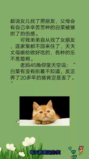 养了20多年的猪丢了!
