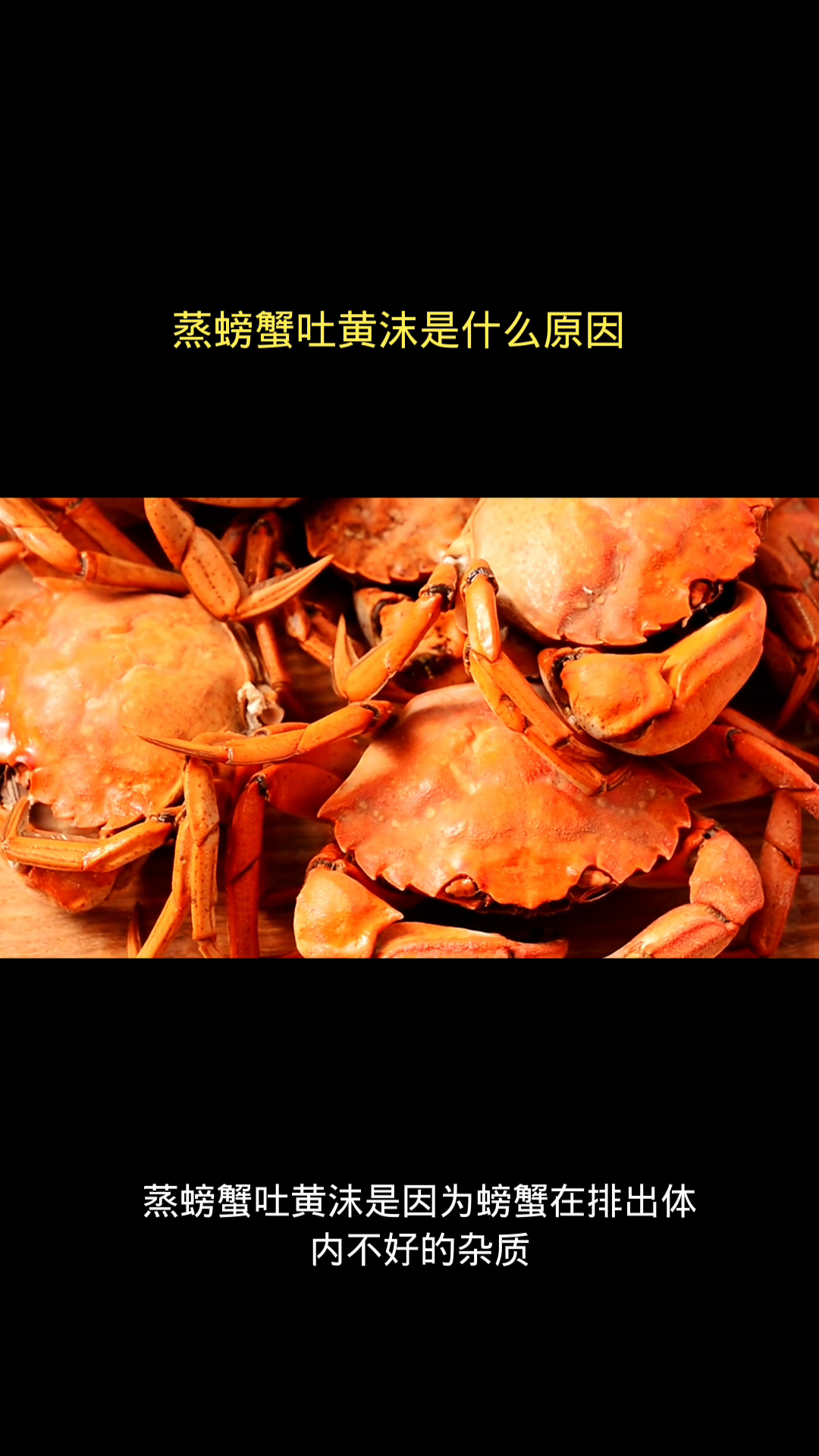 蒸螃蟹吐黄沫是什么原因