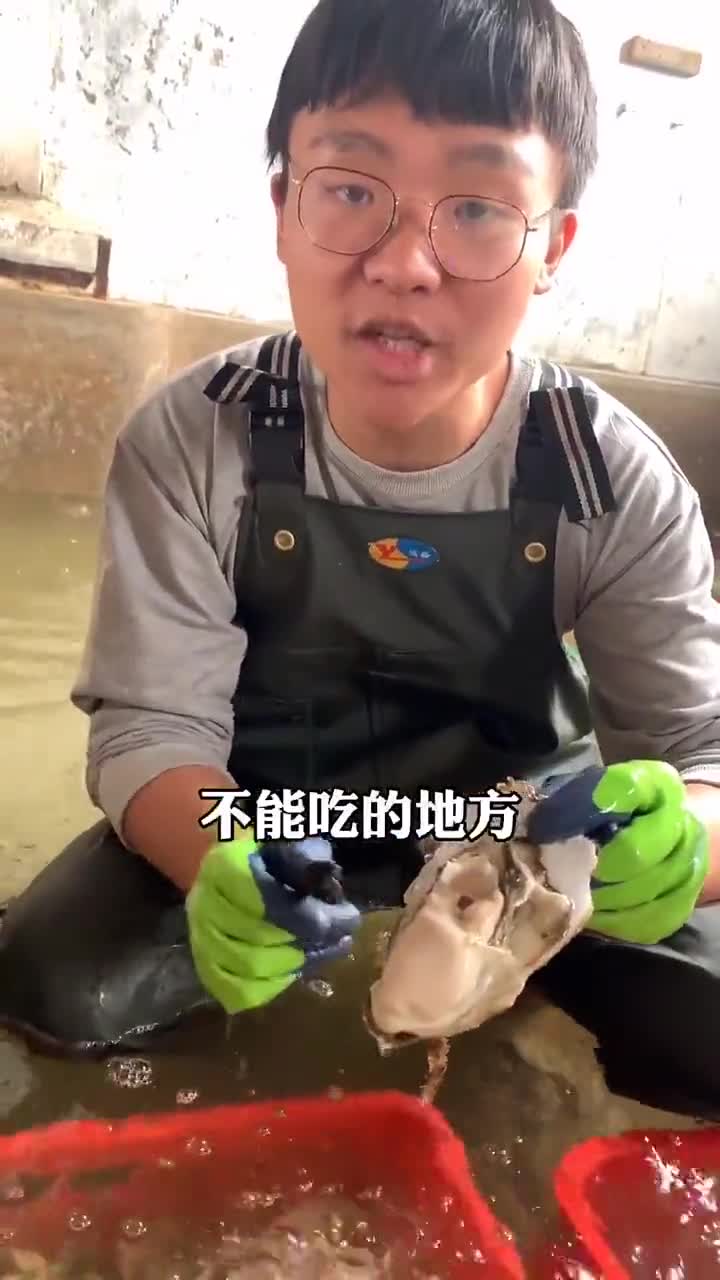 生蚝到底有没有内脏,能不能吃