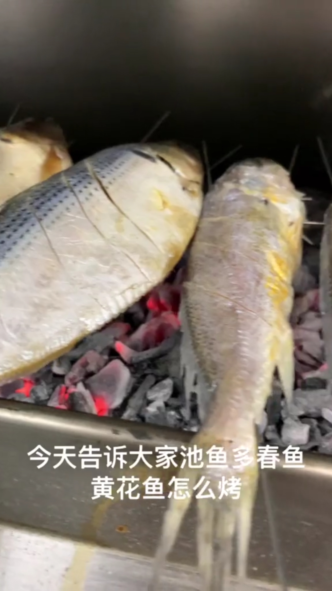 #万物皆可烧烤#