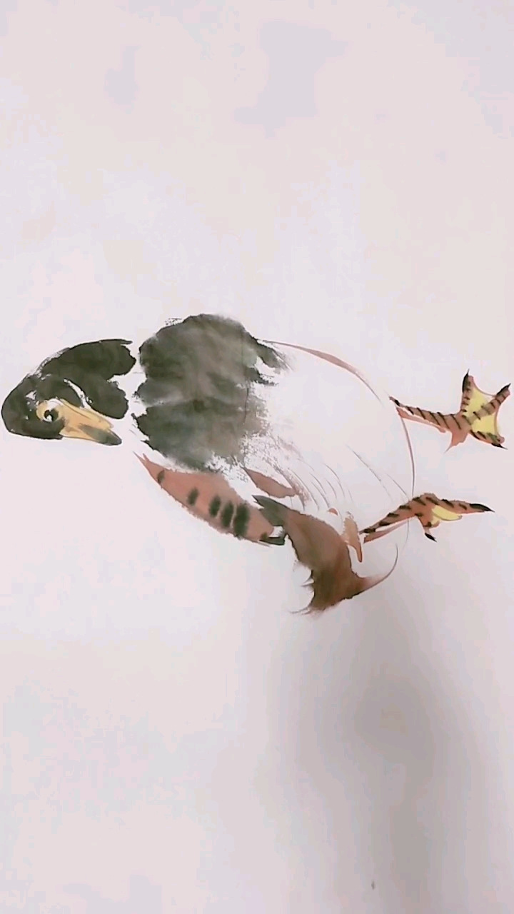 国画教学鸭子画法
