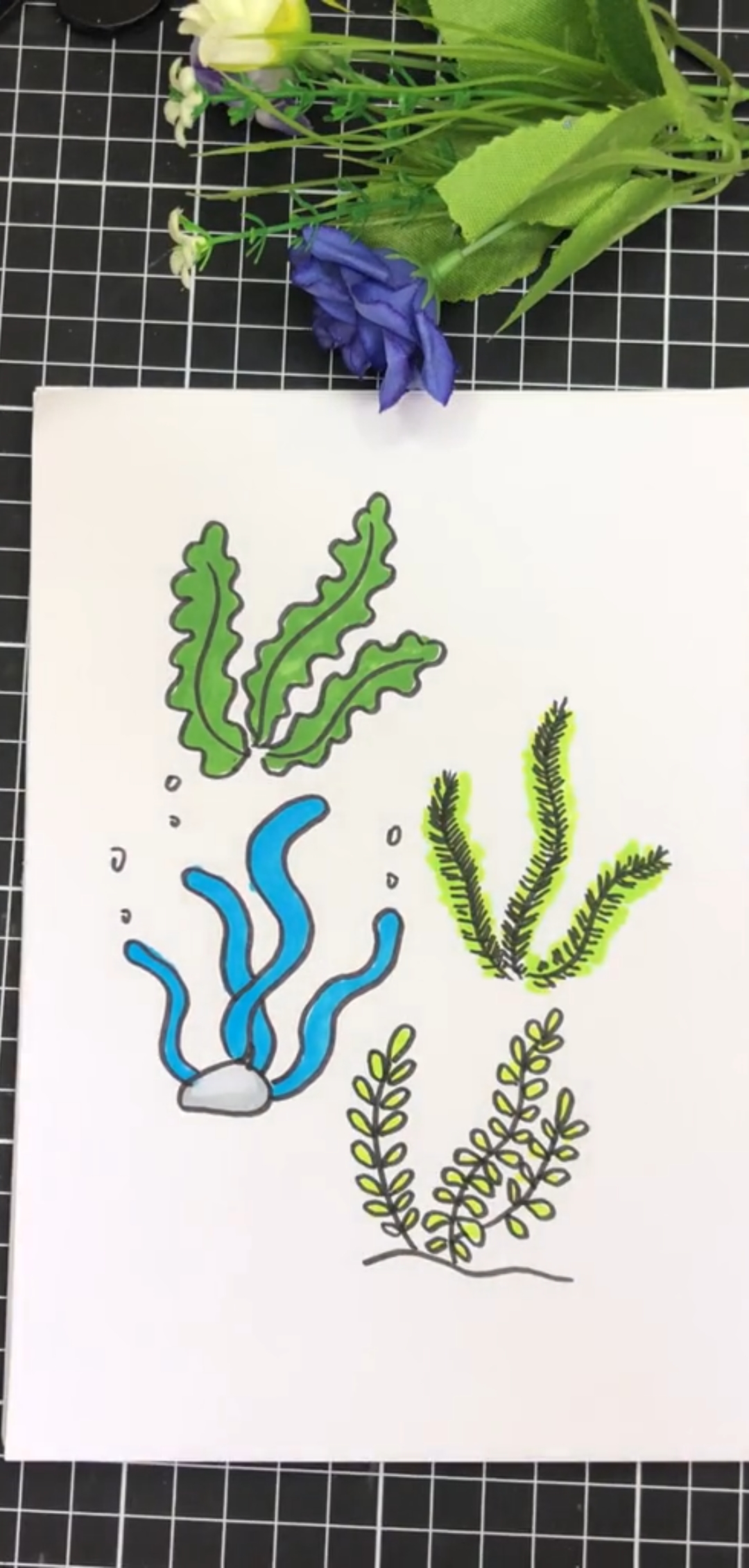 教你画几种海草的方法,小朋友们再也不会只画鱼不画草了