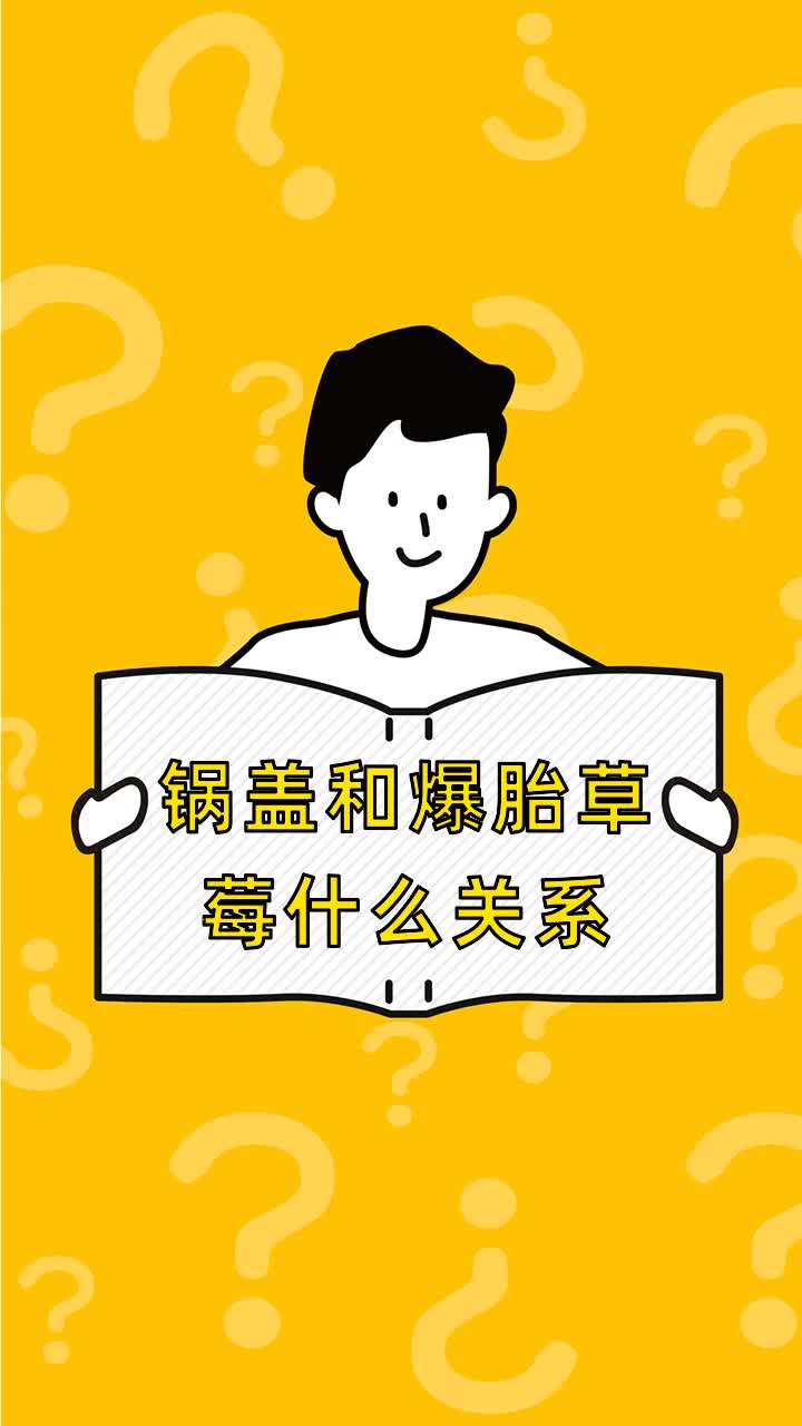 锅盖和爆胎草莓什么关系