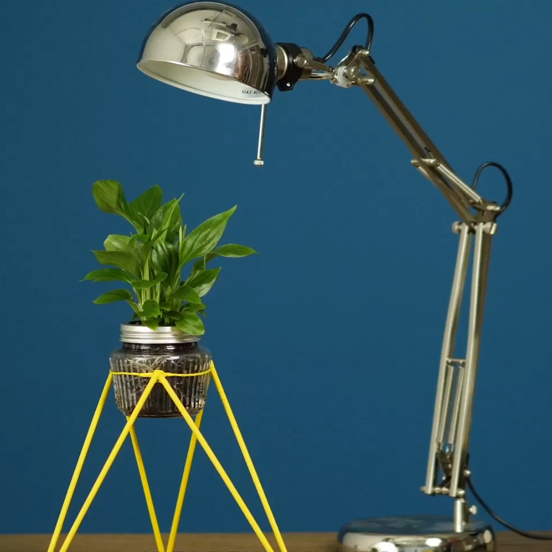 #创意手工DIY#超简单的筷子花架制作方法!