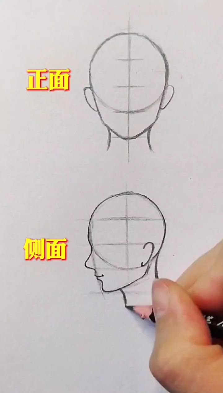 #轻知计划#正面、侧面,人脸的画法(素描人像),你学会了吗?嗯?