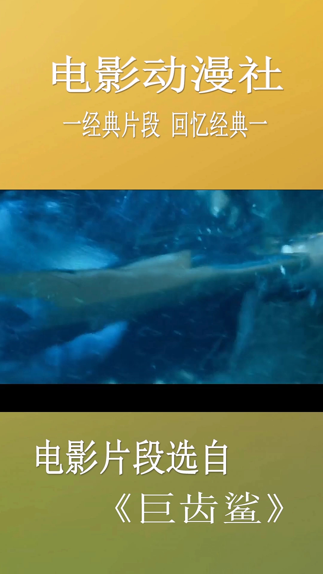 电影动漫社。经典片段回忆经典一。电影片段选自。《巨齿鲨》