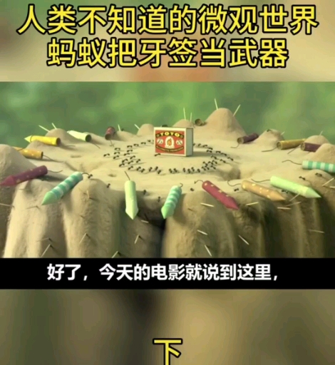 #蚂蚁上树#蚂蚁