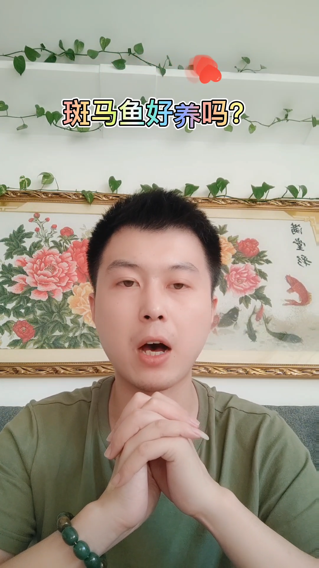 你知道斑马鱼好养吗?