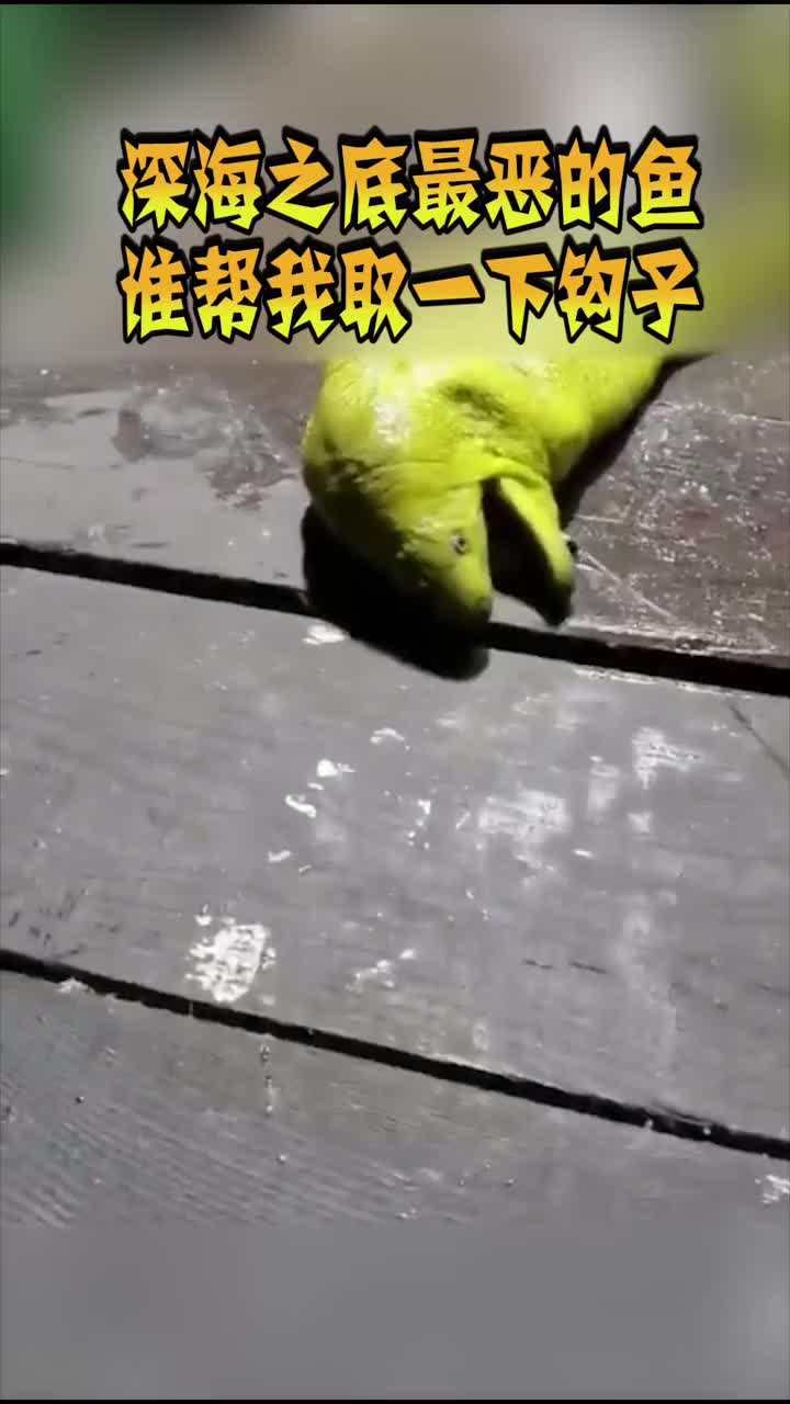 凌晨四点钓到天亮,就钓上来一条这玩意,看着就吓人!