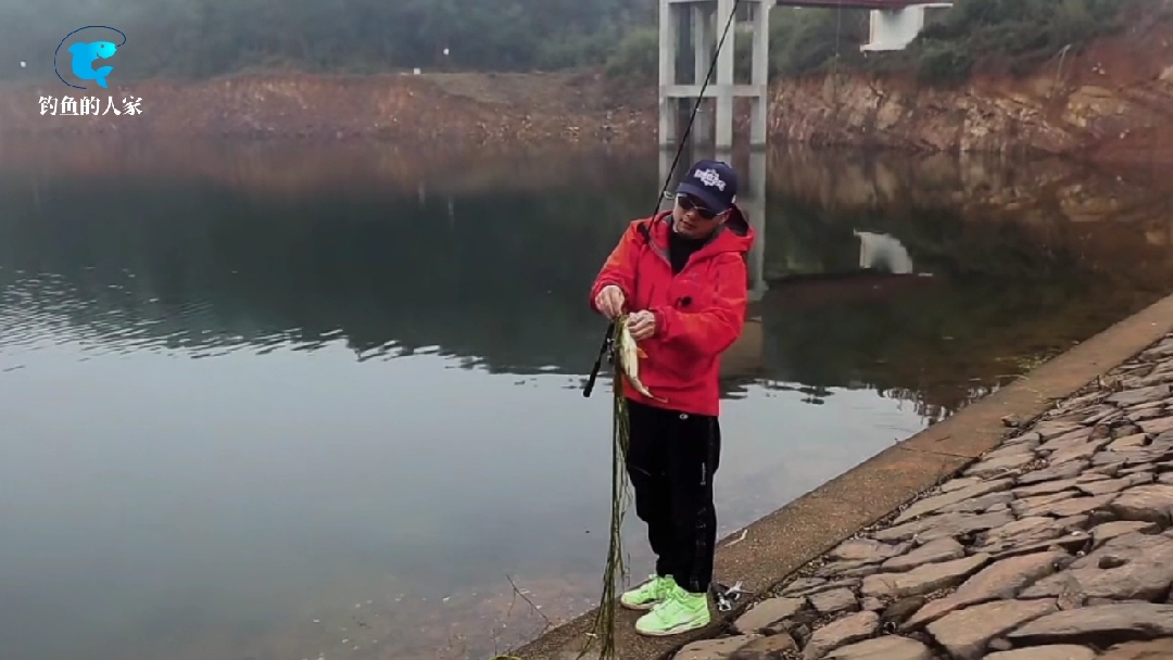 #野钓#水库野钓五道黑,钓获名贵野生“丝绸鲈鱼”,它有5道黑色的斑纹