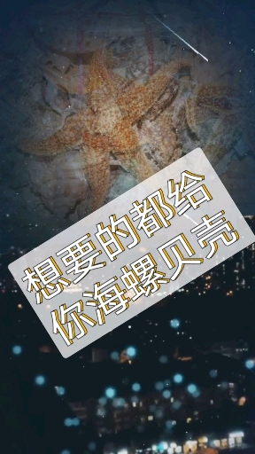 #特色工艺品#海螺贝壳鱼缸造景 这是就是大海的胸怀